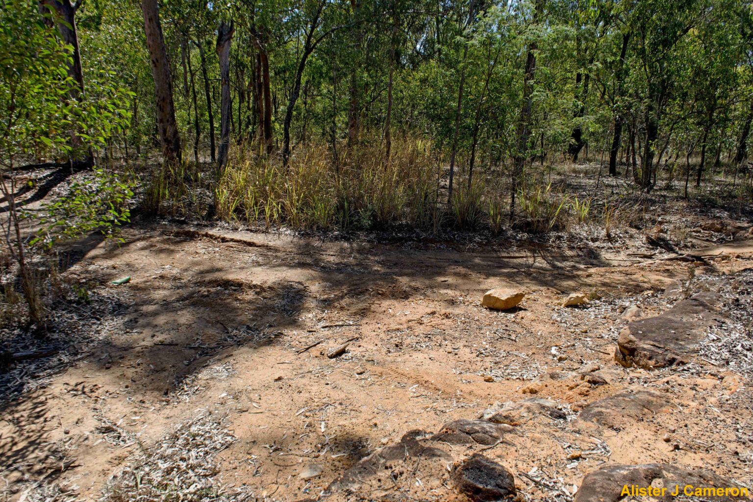 31E1C Old Tivoli Pit Tramway – Railway Archaeology Ipswich (Qld)