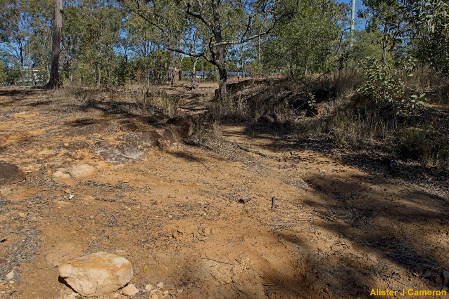 31E1C Old Tivoli Pit Tramway – Railway Archaeology Ipswich (Qld)