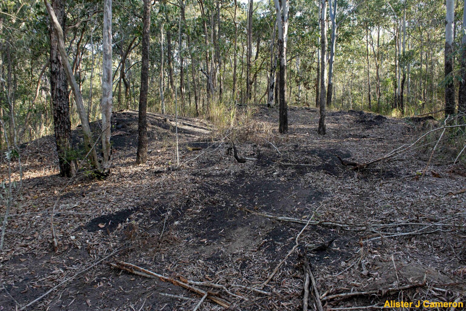 31E1C Old Tivoli Pit Tramway – Railway Archaeology Ipswich (Qld)